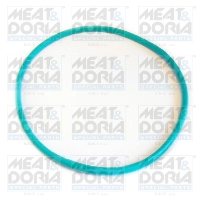 Seal, fuel tank cap